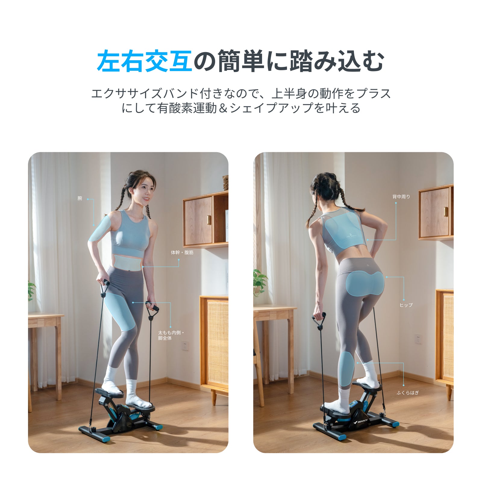 ティゴラ ステッパー　美品 ステッパー お手軽モデル 省スペース 静音 ツイスト機能 その他